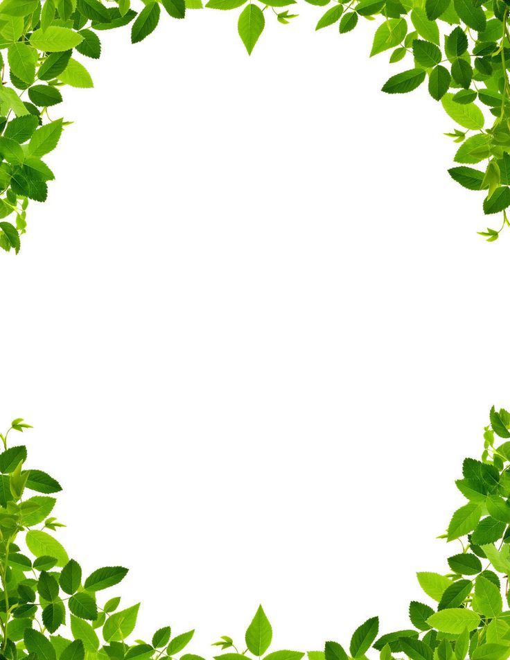 Free Environmental Cliparts Boarder, Download Free Clip Art