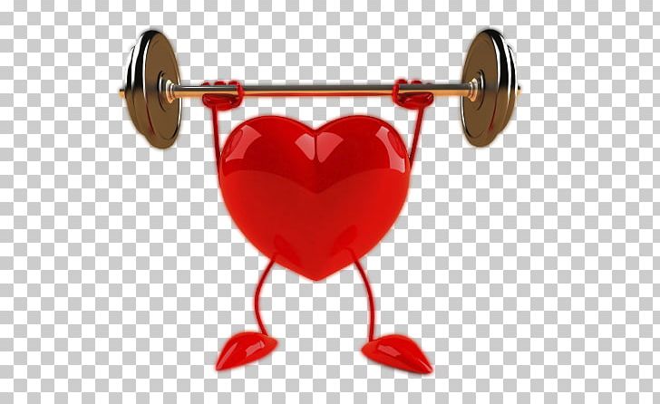 Physical exercise heart.