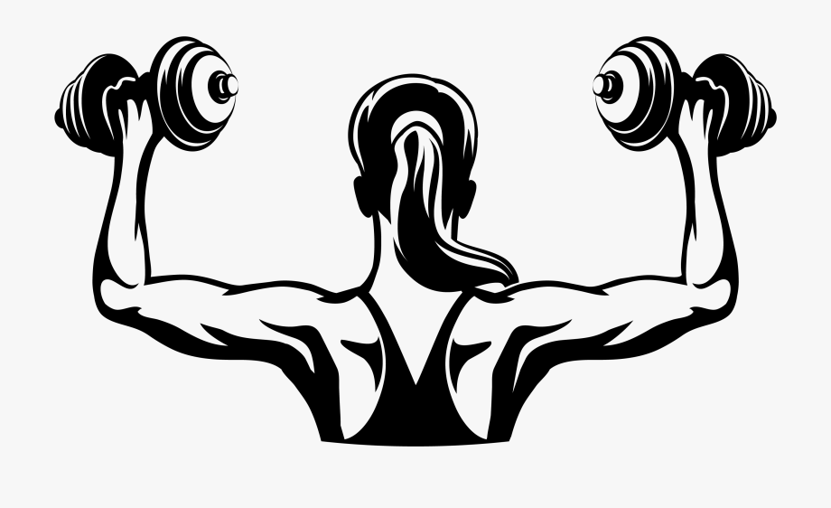 exercising clipart gym workout