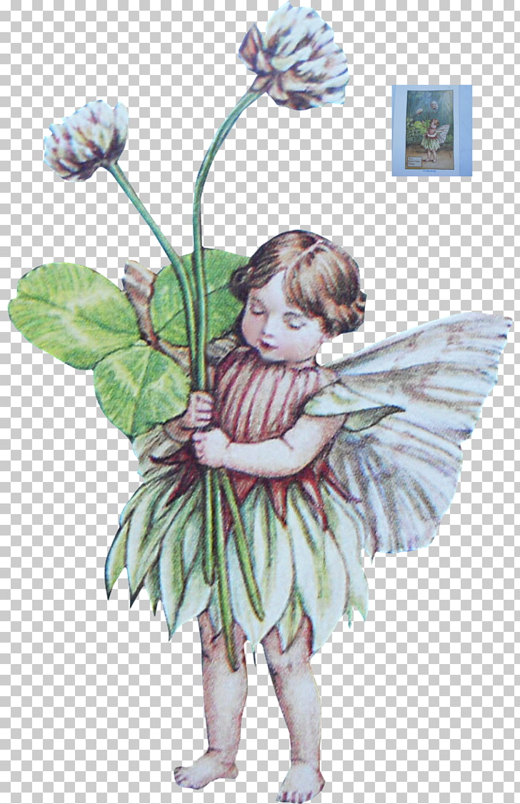 Fairy Flower fairies of the summer Duende Elf, Fairy PNG