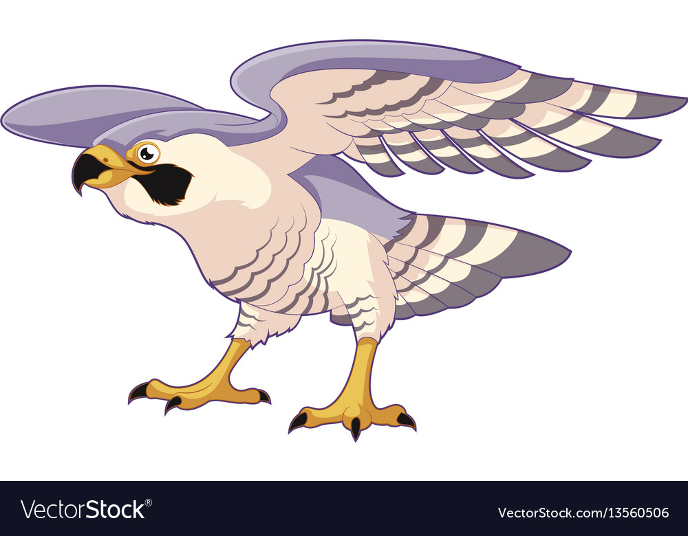 Cartoon standing falcon vector image