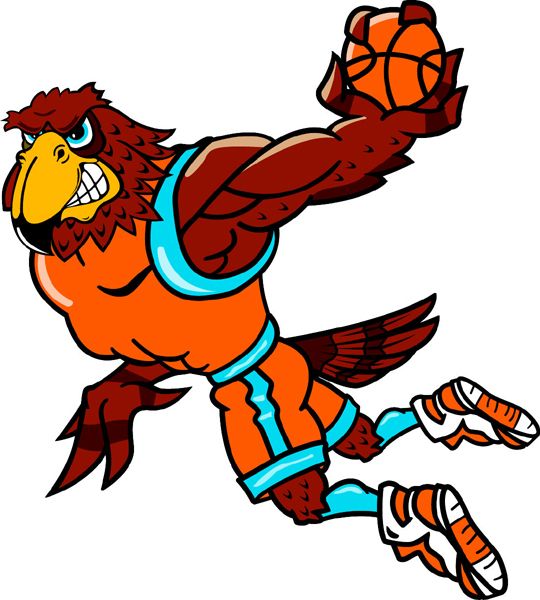 Falcon mascot basketball.
