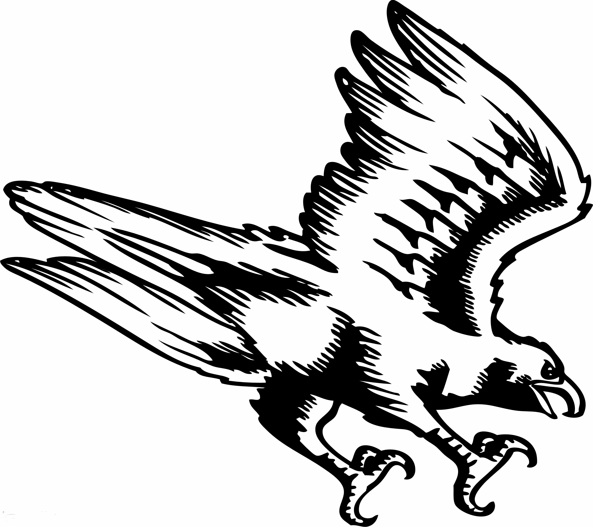 Falcon Bird Clipart