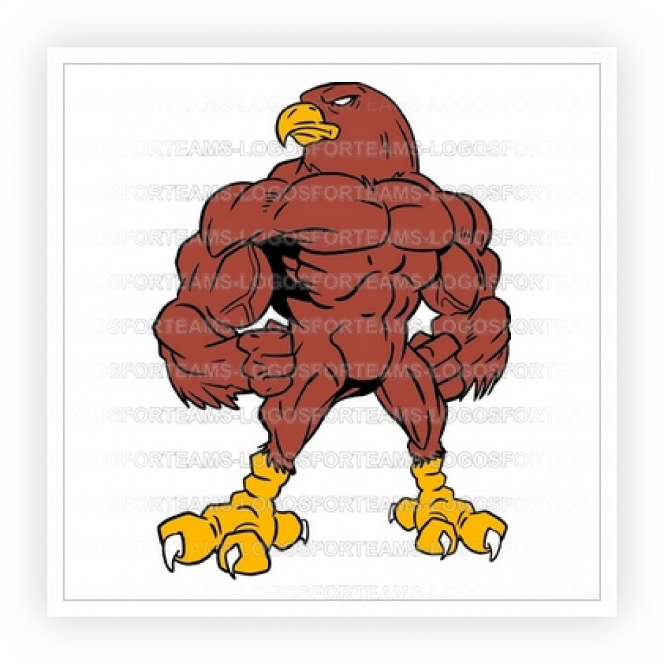 Mascot Logo Part of Strong Falcon Standing With Muscles Graphic
