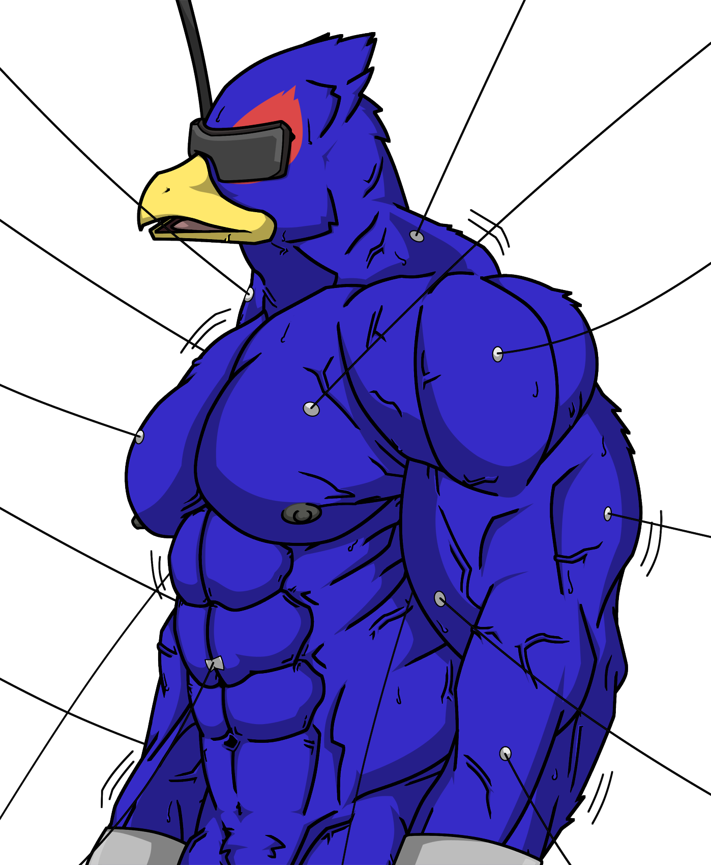 Muscles clipart falcon.