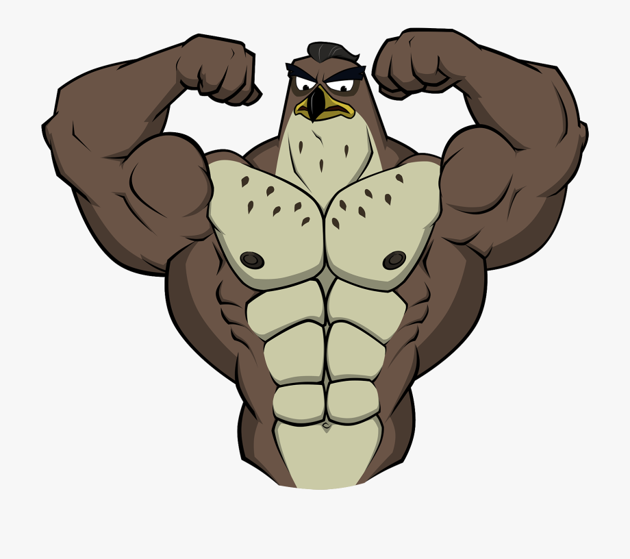 Muscle clipart falcon.