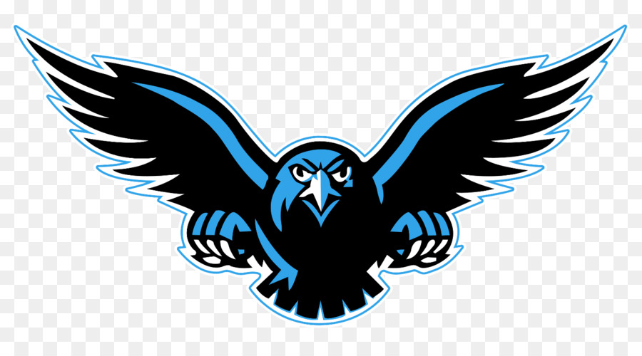 Falcon png clipart.