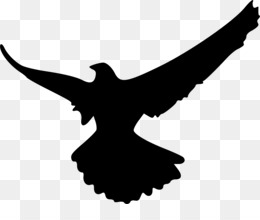 Free download Falcon Silhouette Bird Clip art