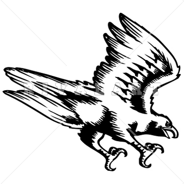 Falcons clipart free.