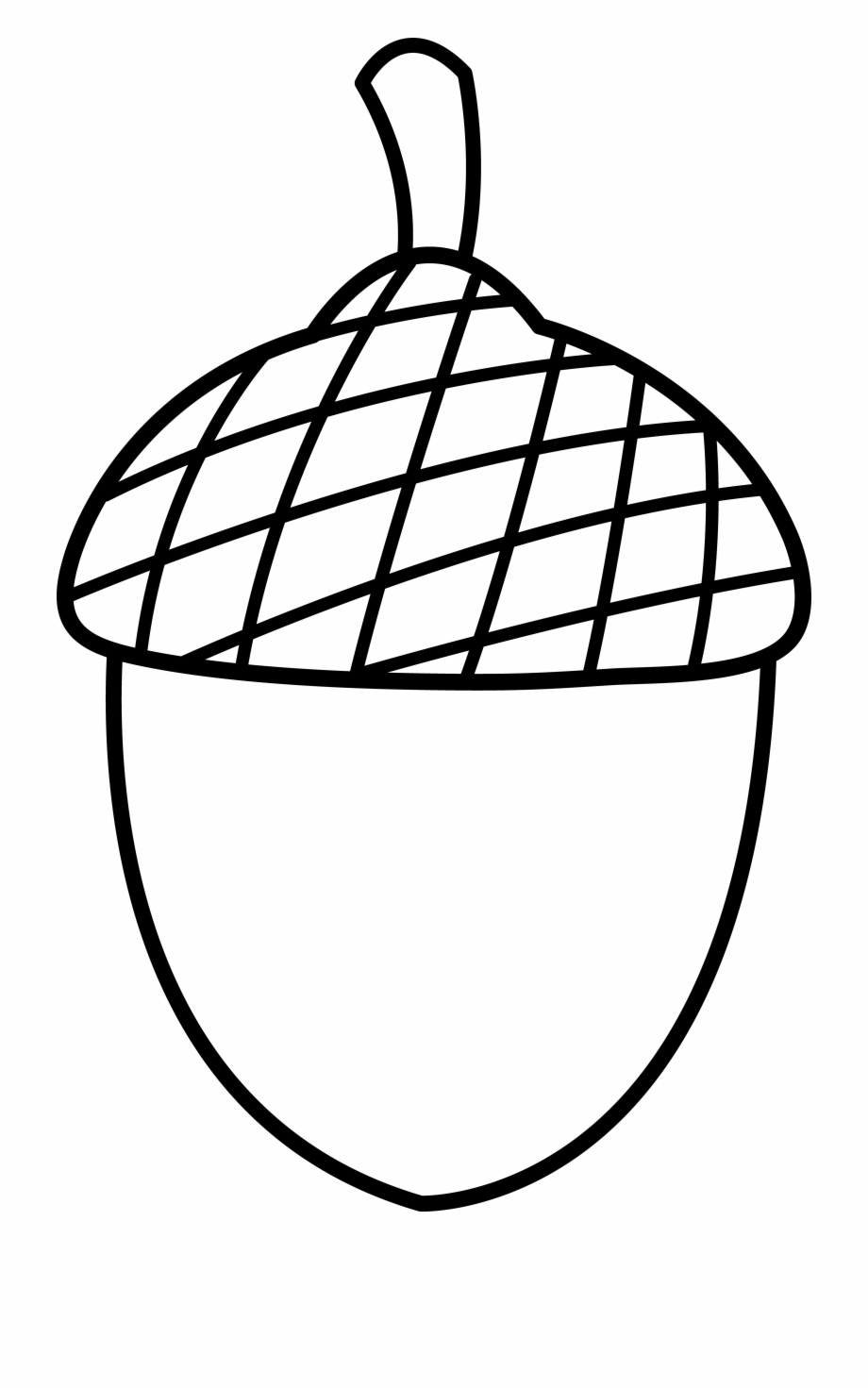 fall clipart black and white acorn