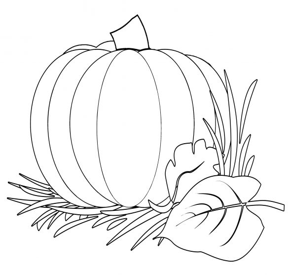 fall clipart black and white color