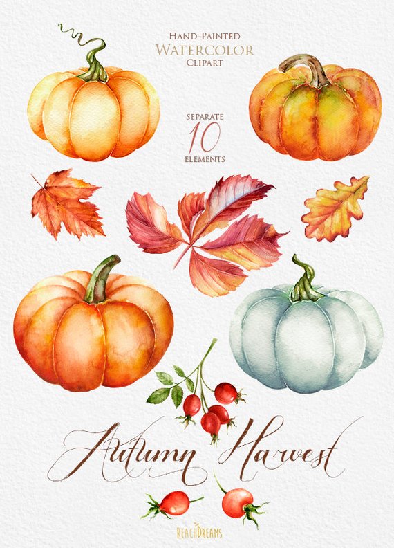 Pumpkin watercolor clipart, Halloween, Autumn, Briar, Yellow
