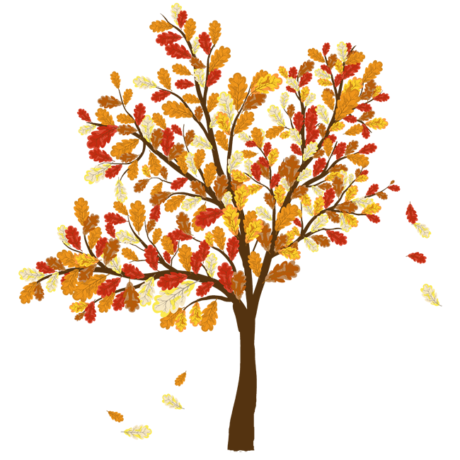 Autumn leaf color Tree Clip art