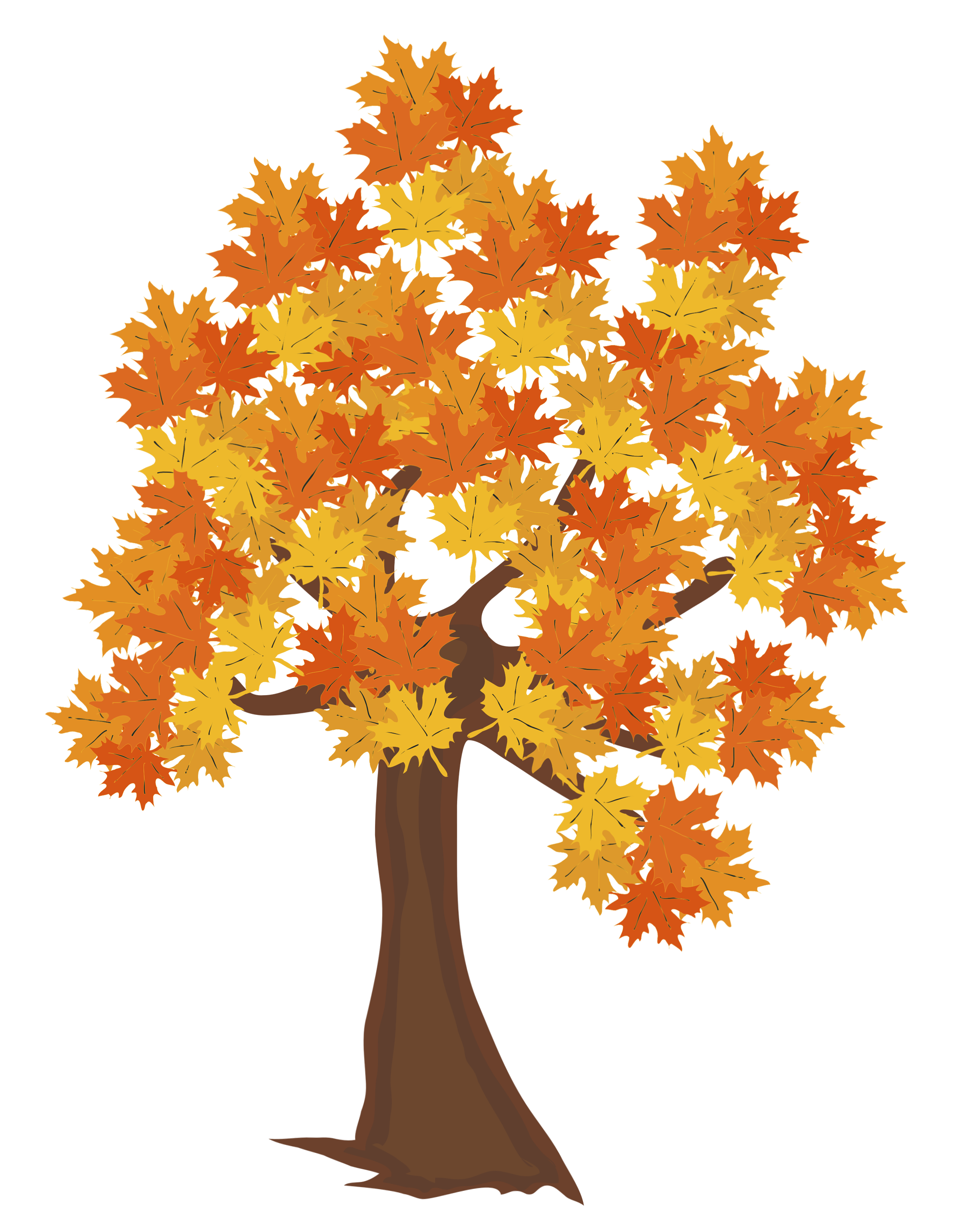 Fall Tree PNG Image