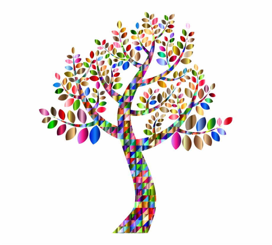 Genealogy Family Tree Family Tree Branch Colorful Family