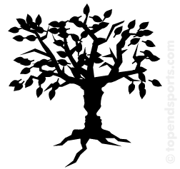 Free Family Tree Clipart, Download Free Clip Art, Free Clip