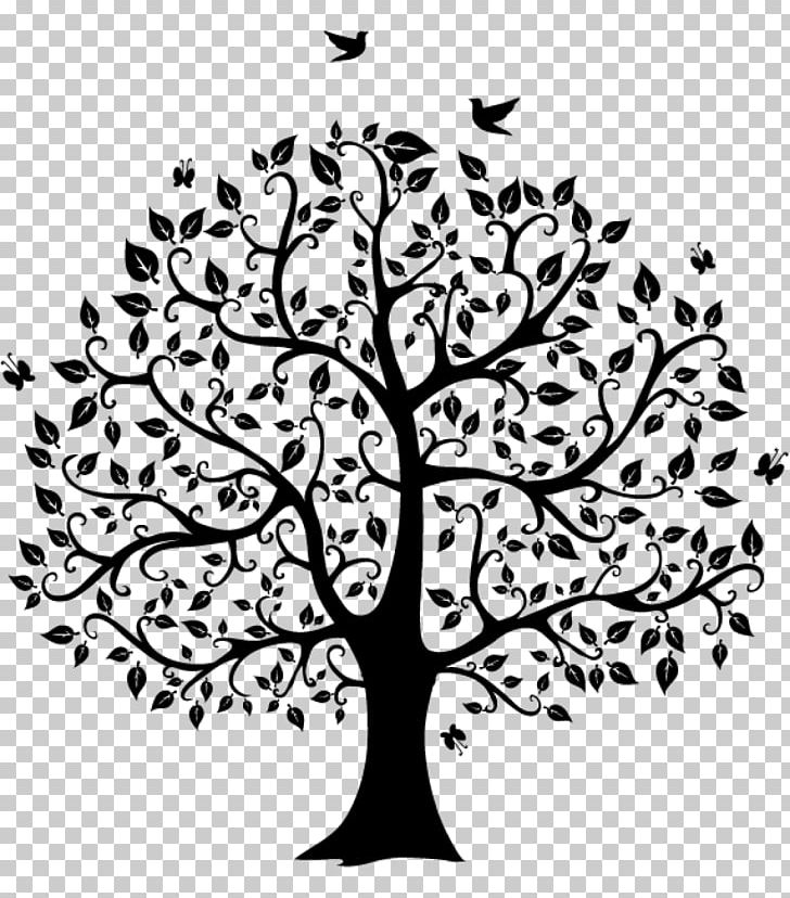 Family tree genealogy.