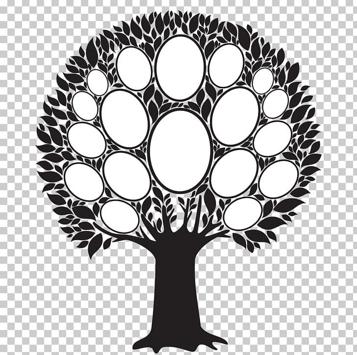 Frames Family Tree PNG, Clipart, Black And White, Branch