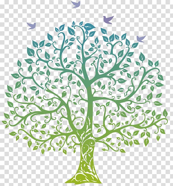 Family tree Genealogy , Family transparent background PNG