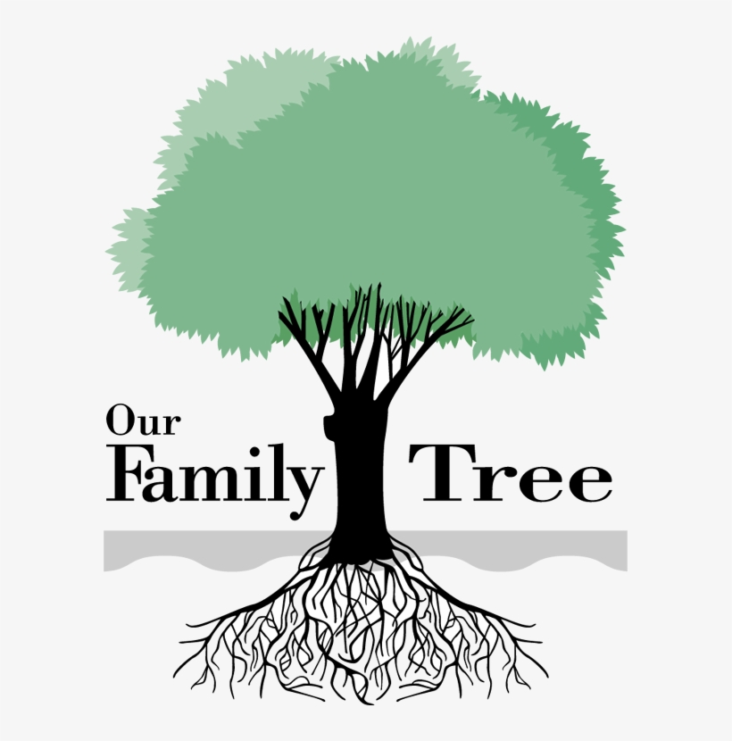 Genealogy family tree.