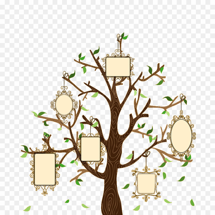 Family trees vectors.