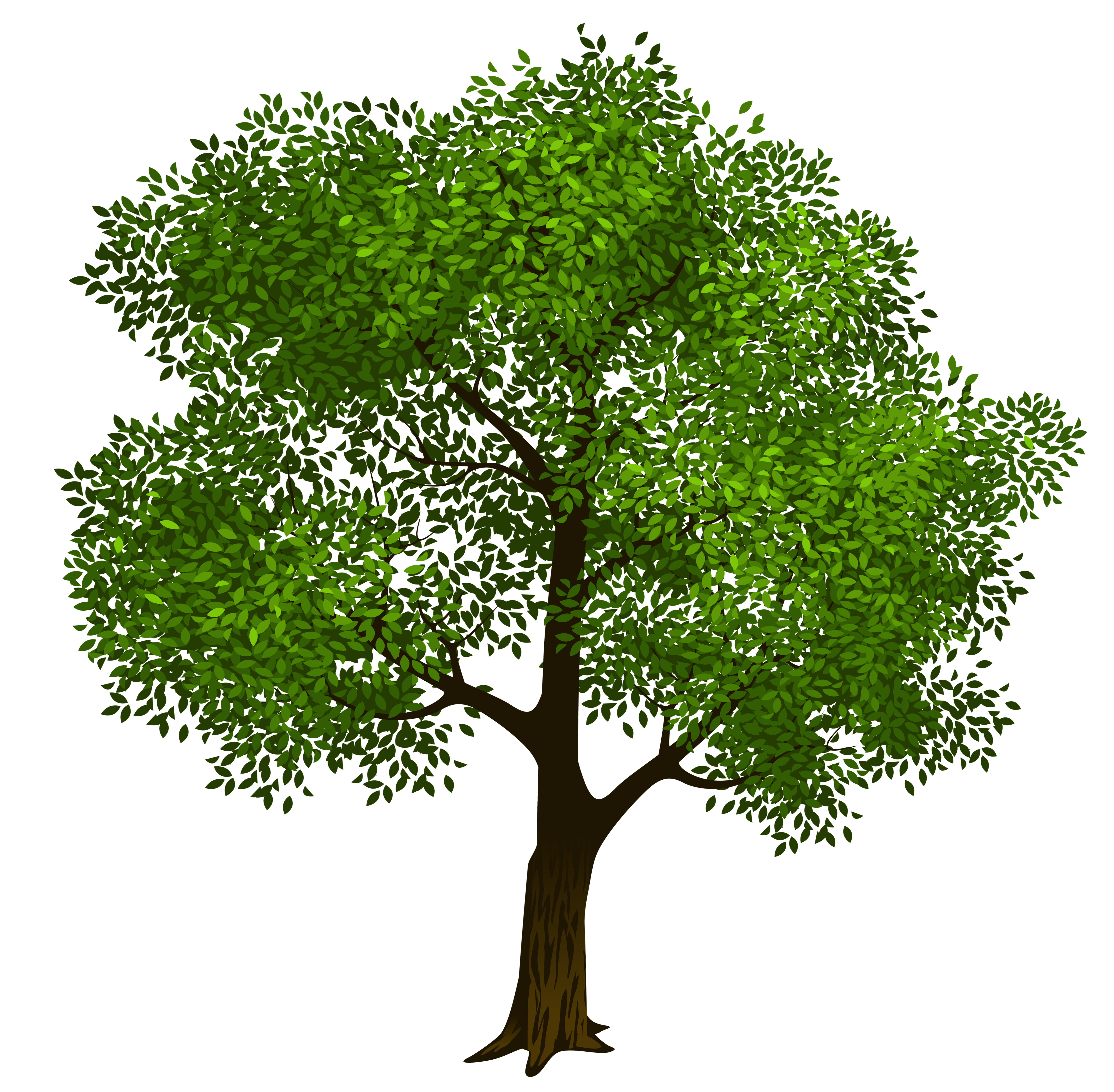 Family tree clipart free clipart images