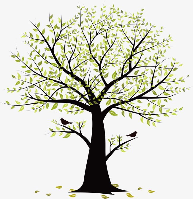 Small Tree Vector Birds, Tree Clipart, Birds, Trees PNG and