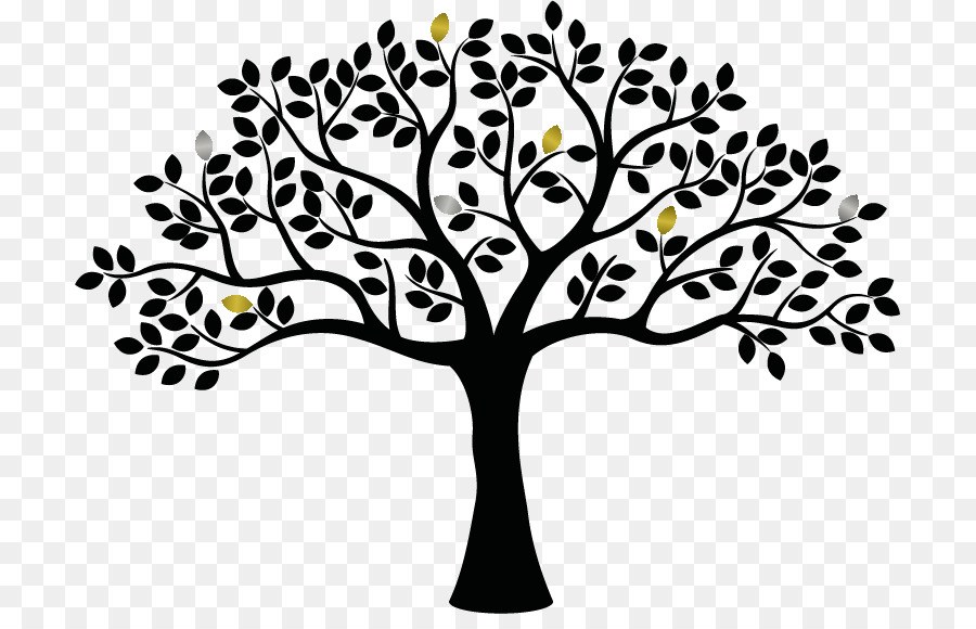 Family tree silhouette.