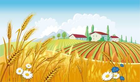 Wheat farm clipart