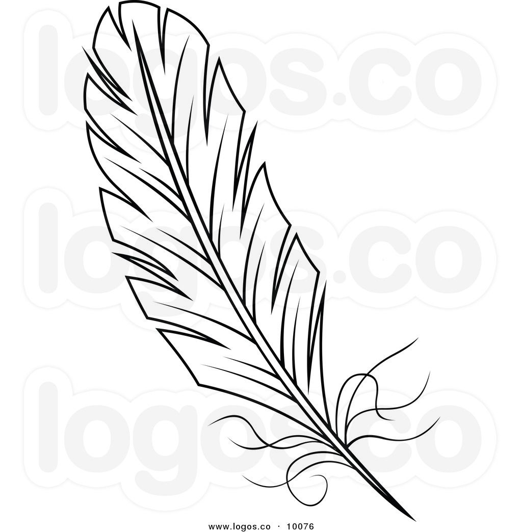 Feather clipart and.