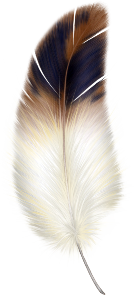 Free Feather Cliparts, Download Free Clip Art, Free Clip Art