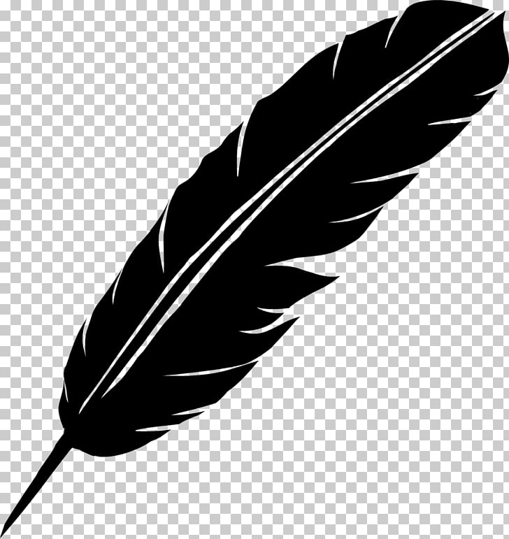Feather Fusion Leadership Drawing Wanelo Takagari, feathers