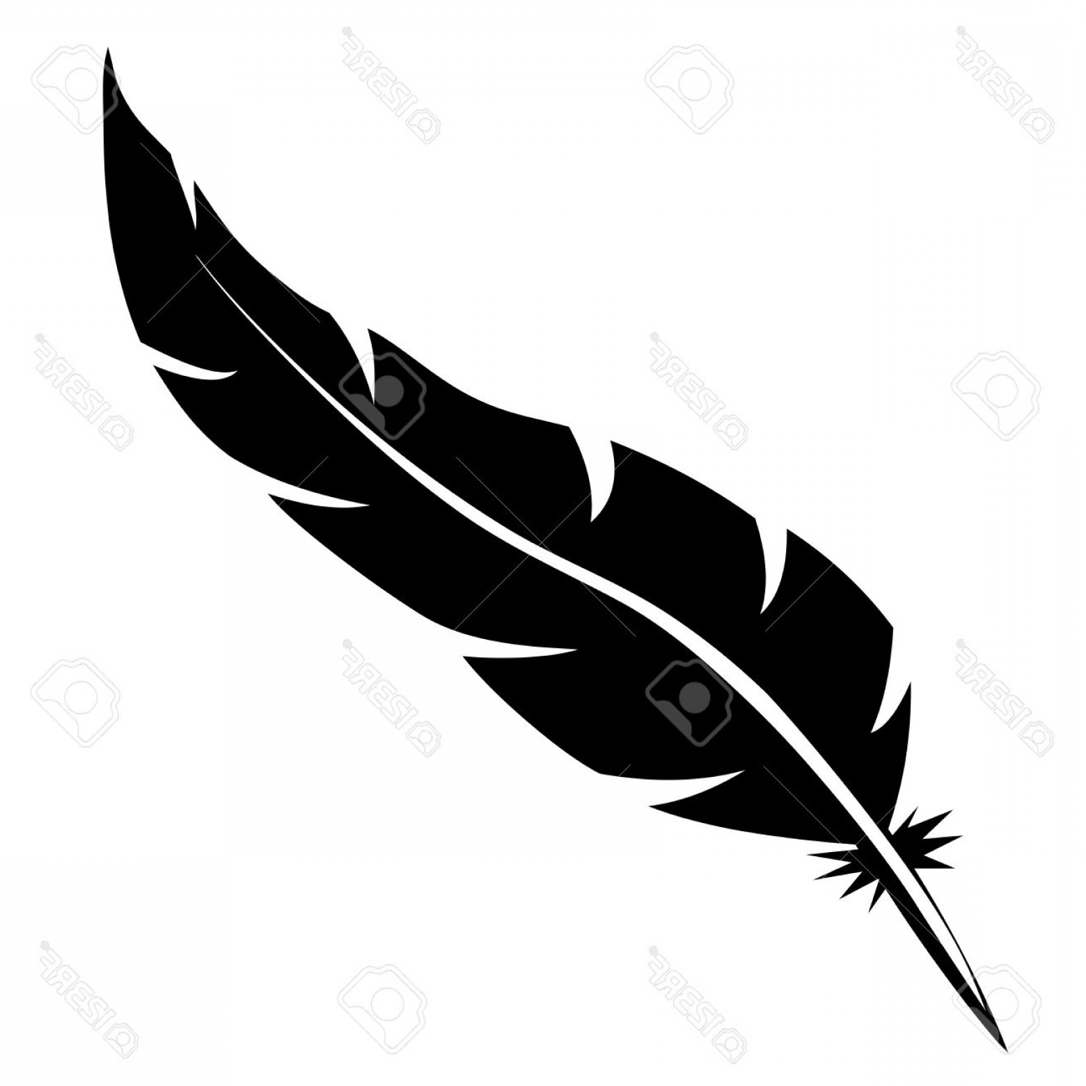feather clipart blank