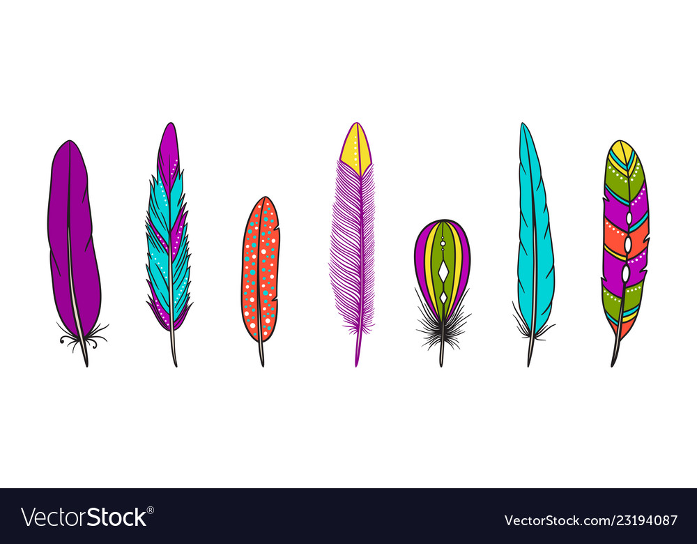 Collection of boho feathers