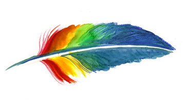 Colorful Feather stock vectors