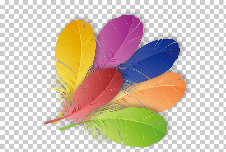 The Floating Feather Color, Colored feathers PNG clipart