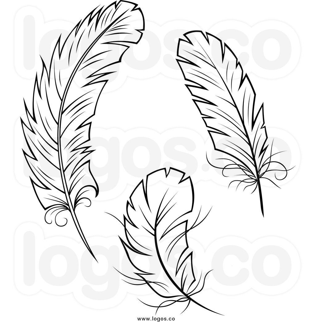 Feathers clipart saw.
