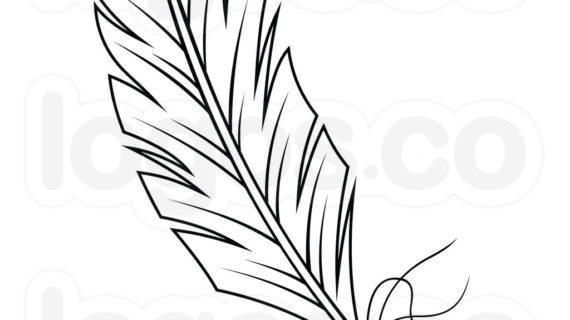 Feather outline drawing.