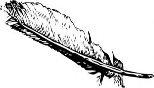 Eagle feather clip.