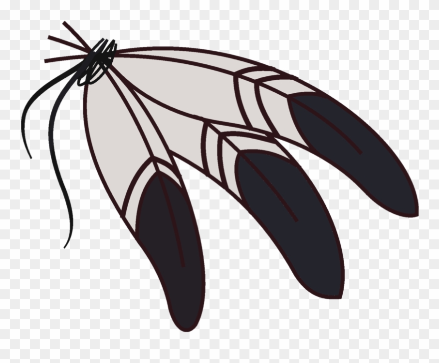 Aborigines feather clip.