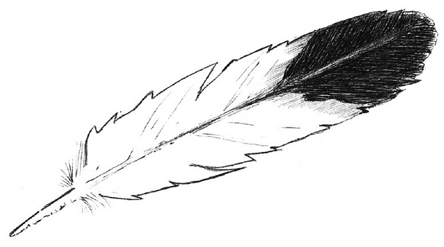 Free Eagle Feather Silhouette, Download Free Clip Art, Free