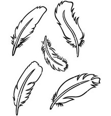 Free feather outline.