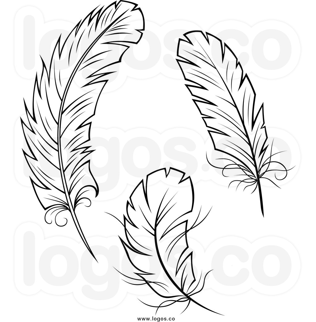 69 feathers clipart.