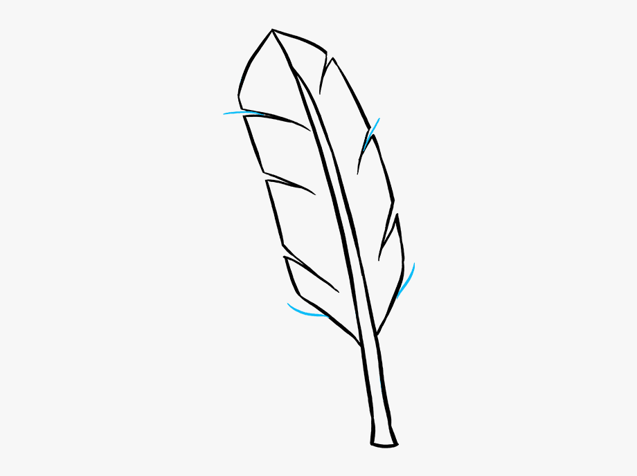 Feather drawing simple.