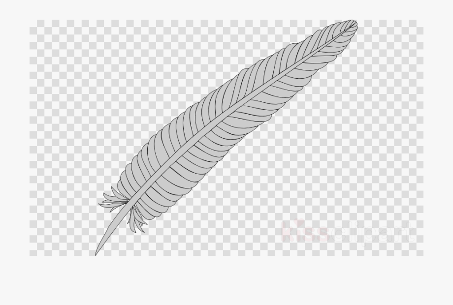 Feather clipart outline.