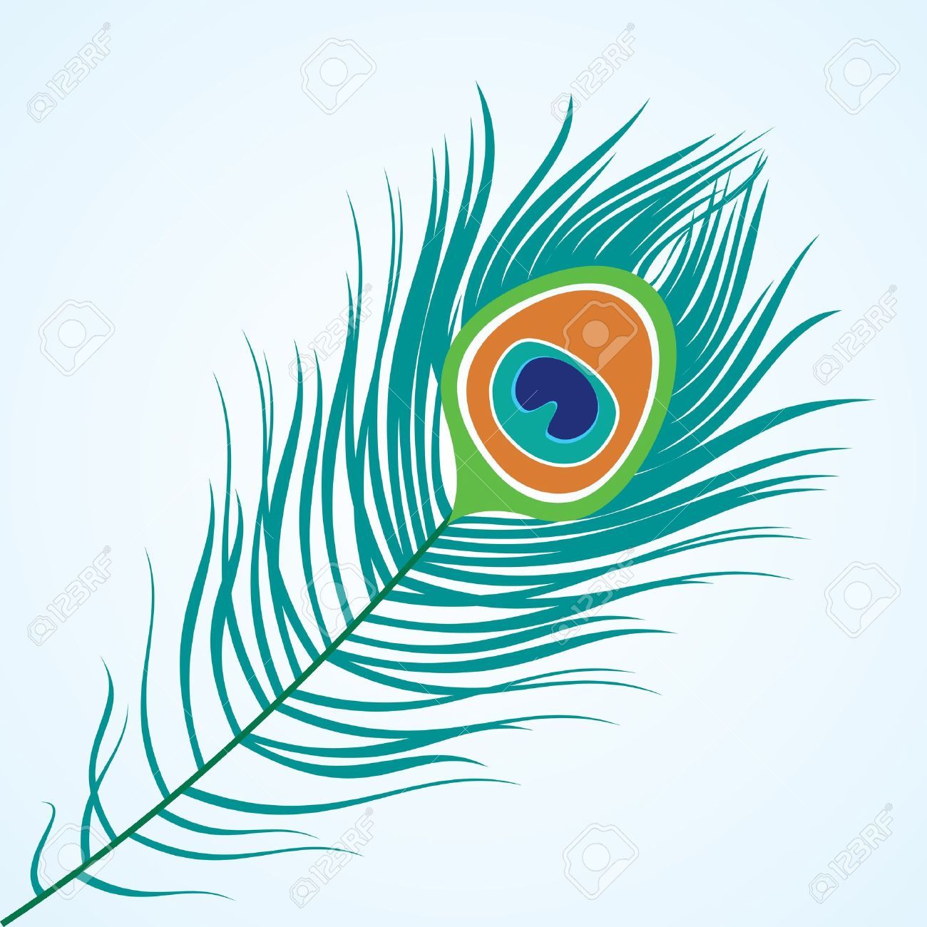 Peacock Stock Illustrations, Cliparts And Royalty Free