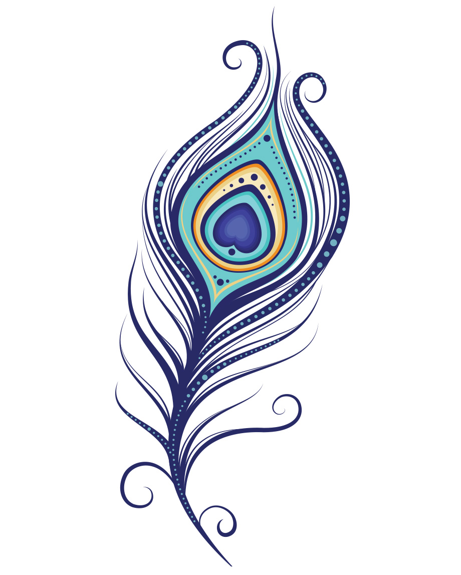 feather clipart peacock