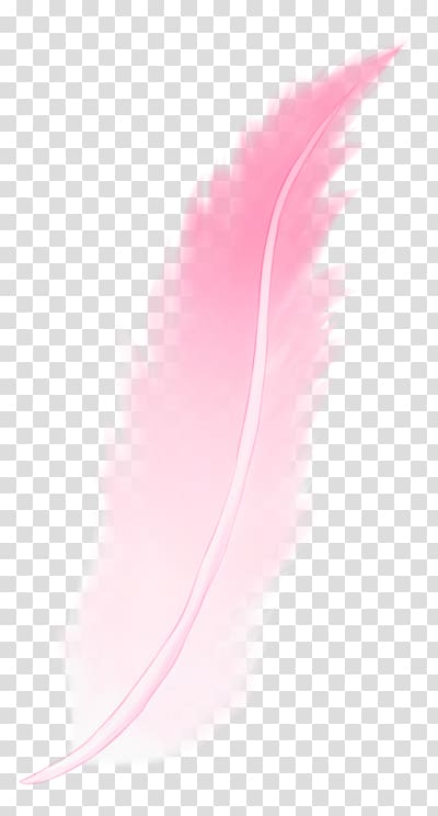 Desktop pink feather.