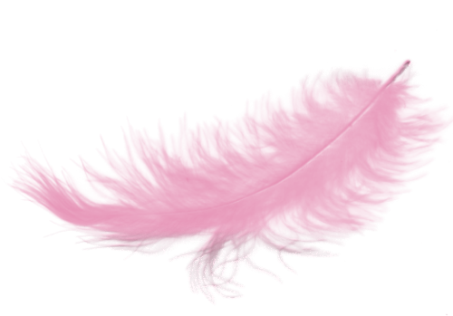 Pink background clipart.