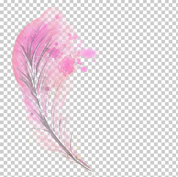 Feather pink illustration.
